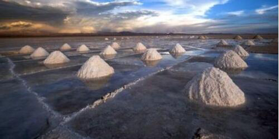 1479264717942004329.jpg 大.jpg