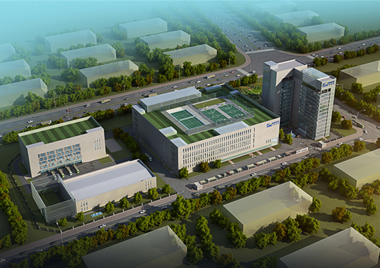 1487569628691003985.jpg 3.jpg