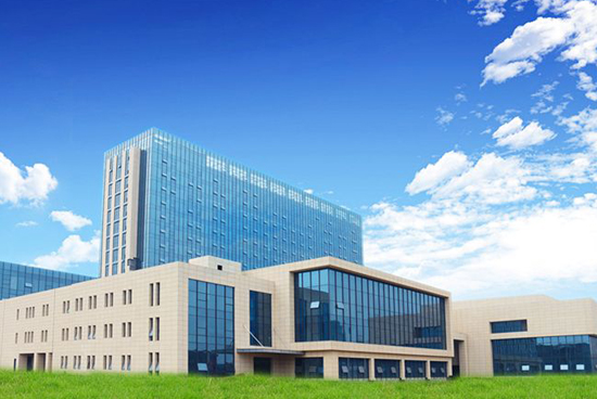 1488253535652020432.jpg 2timg (8).jpg