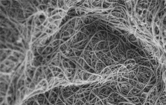 1504497548548093773.png 1.png