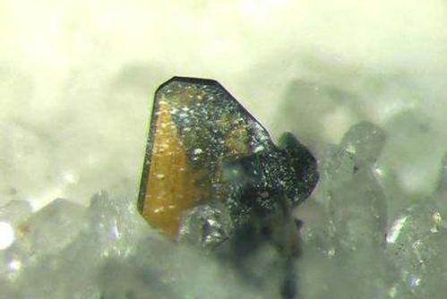 1506050381461068352.jpg timg.jpg