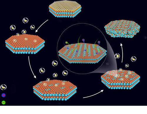 1507342114981083621.jpg 用于快速充放電且穩定循環鋰離子電池的鈦酸鋰水合物技術研究01.jpg