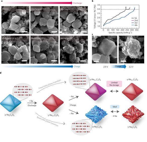 1507696499371024646.jpg 4.jpg