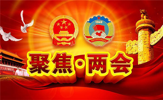 觀點集錦!兩會上電池行業傳出了那些重磅級聲音? 觀點集錦!兩會上電池行業傳出了那些重磅級聲音?