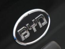 拆分電池業(yè)務(wù)再提速 比亞迪有望“牽手”奧迪