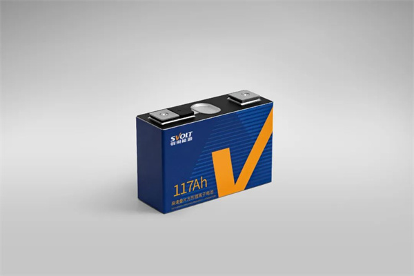 獨家|對話楊紅新:蜂巢能源2024年如何“破卷”? 獨家|對話楊紅新:蜂巢能源2024年如何“破卷”?