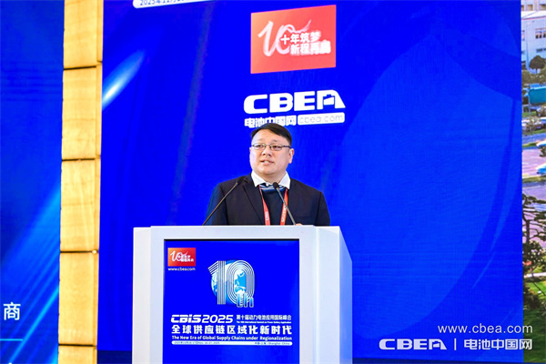 十年筑夢，新程再啟！邁向新能源電池全球供應鏈區域化發展新時代
