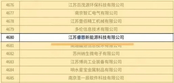 睿恩新能源成功通過2025年江蘇省第二批高新技術企業認定