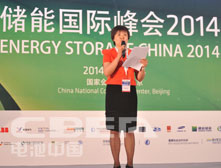 《儲能產業研究白皮書2014》發布