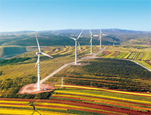 登高望遠景更新——雙登集團綠色能源求變之路探秘（一）